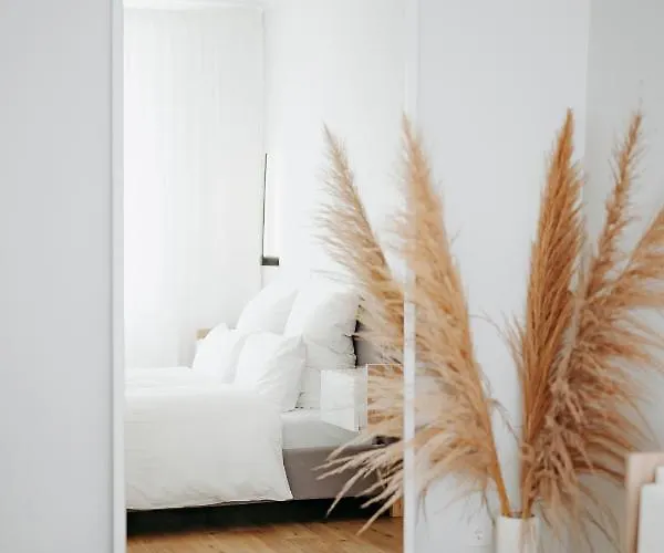 Moderne Ruhige 2-Zimmer Wohnung In Coswig